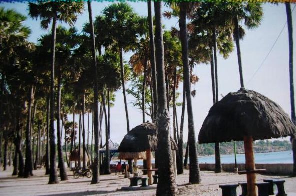Wisata Kemanaaja Pantai Lasiana, Destinasi Wisata Alam