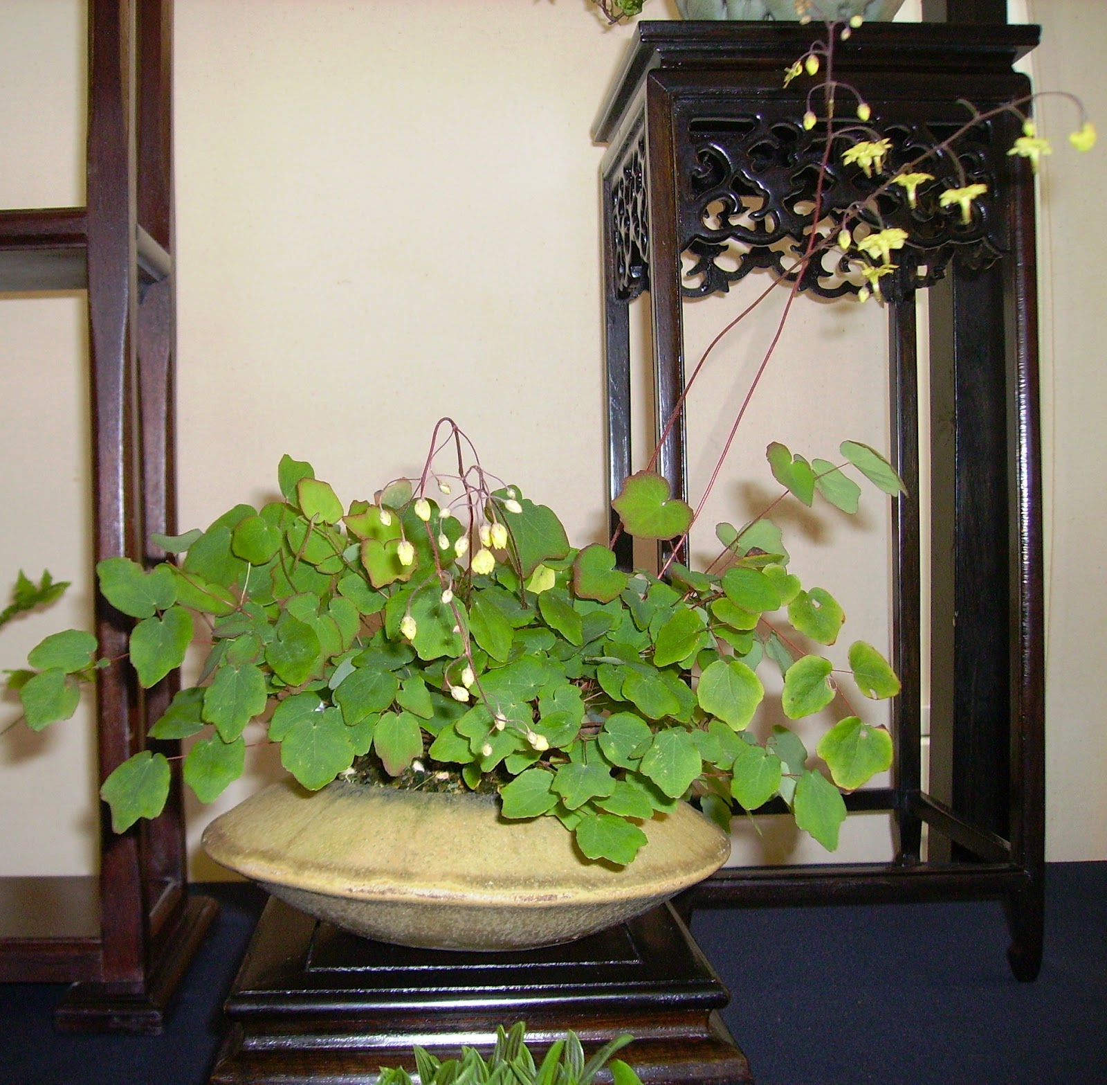 Bespoke Bonsai Stands: May 2012