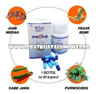 BAHAN BAHAN PEMBUATAN OBAT KUAT PROLQ BAHAN BAHAN PEMBUATAN OBAT KUAT PROLQ