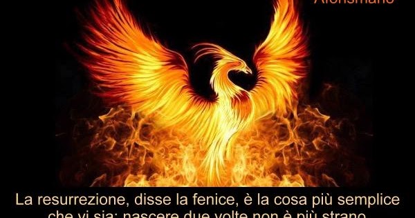 Aforismario Aforismi Frasi E Citazioni Sulla Fenice