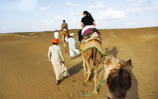 A camel safari, Jodhpur