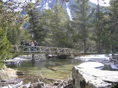 Wooden bridge in Aigüestortes National Park