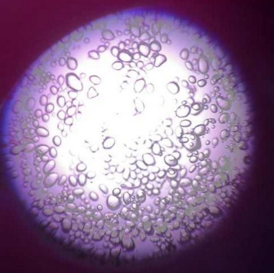 Rumus Kimia Karbohidrat