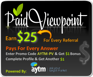paidviewpoint.com