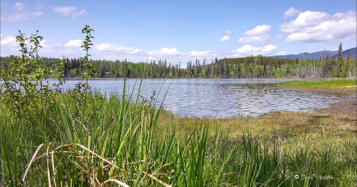 Northern Interior British Columbia Irrigation Lake Houston British