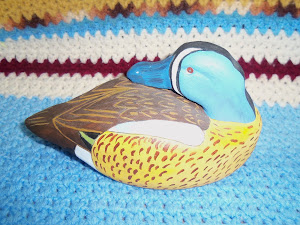 Beautiful painted duck