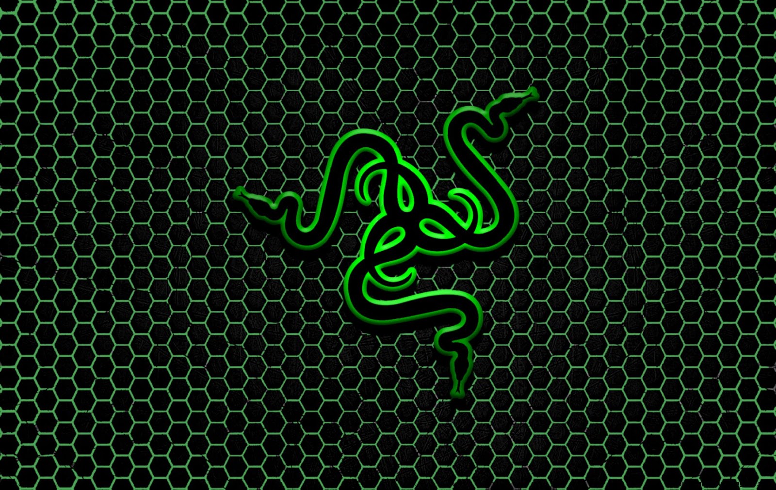 Razer Logo Desktop Background