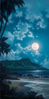 Waikiki Beach Hawaii (Best Honeymoon Destinations In USA) 7