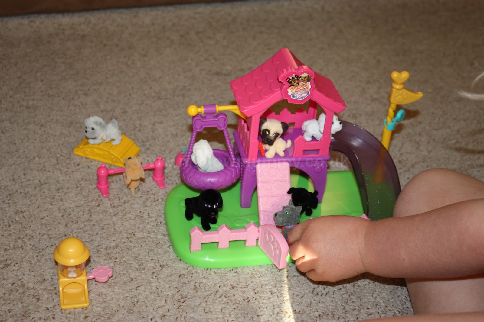 puppy in my pocket smyths