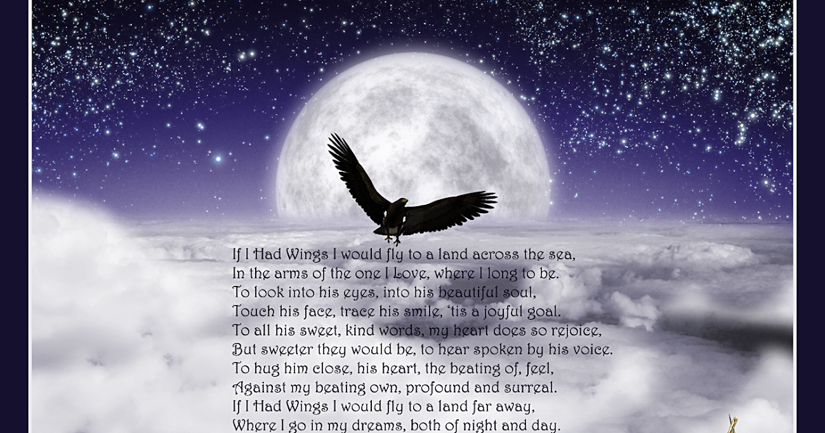 If i could fly essay picture