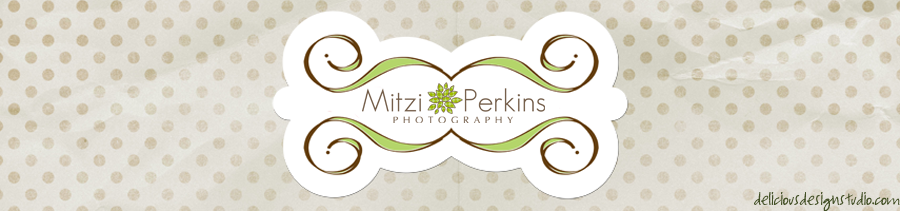 mitzi perkins photography