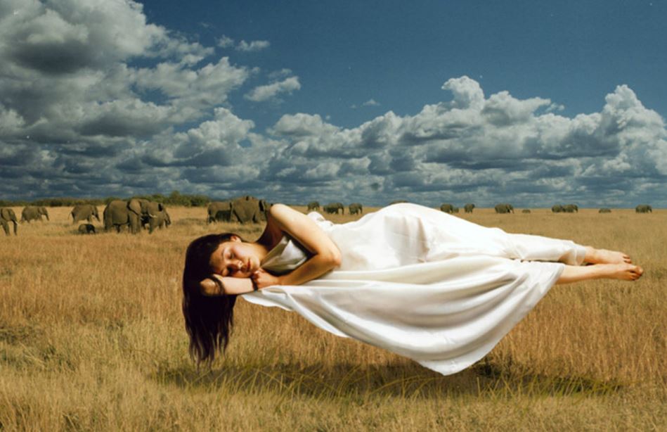 UNDERSTANDING THE PROPHETIC MESSAGES OF YOUR DREAMS AND VISIONS. Ark