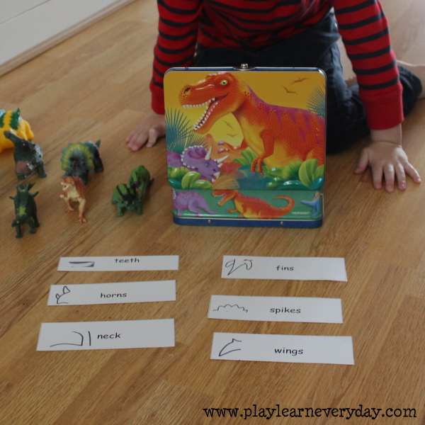 DINOSAUR Birthday Party Game Guess the Dinosaur Trivia Game 