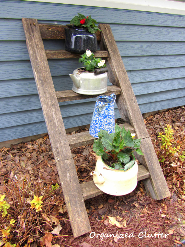 Rescued Tree House Ladder with Tea Kettles www.organizedclutterqueen.blogspot.com