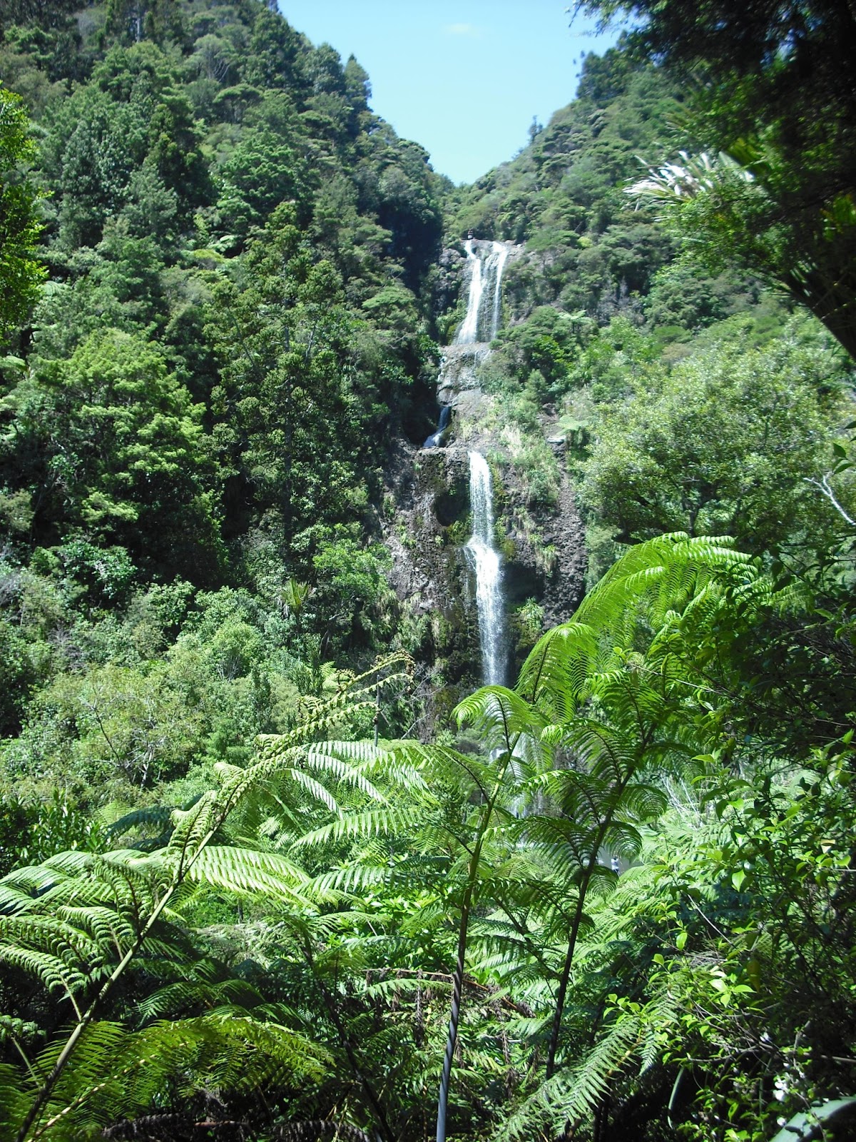 All of Me: Kiwi Summer Holiday snaps