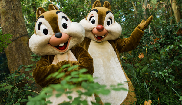 Campfire Sing-A-long com Tico e Teco: o passeio gratuito mais legal da  Disney - Orlando Econômico