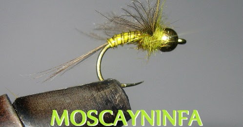 Mosca Principe Ambra Mustad 6 Mosche Da Pesca Ninfa Principe Ambra