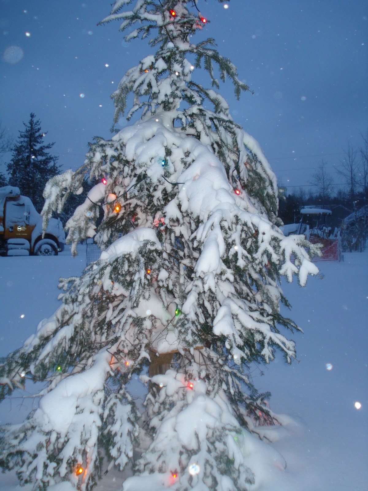 Shadow Lane Farm My Yule/Christmas Tree