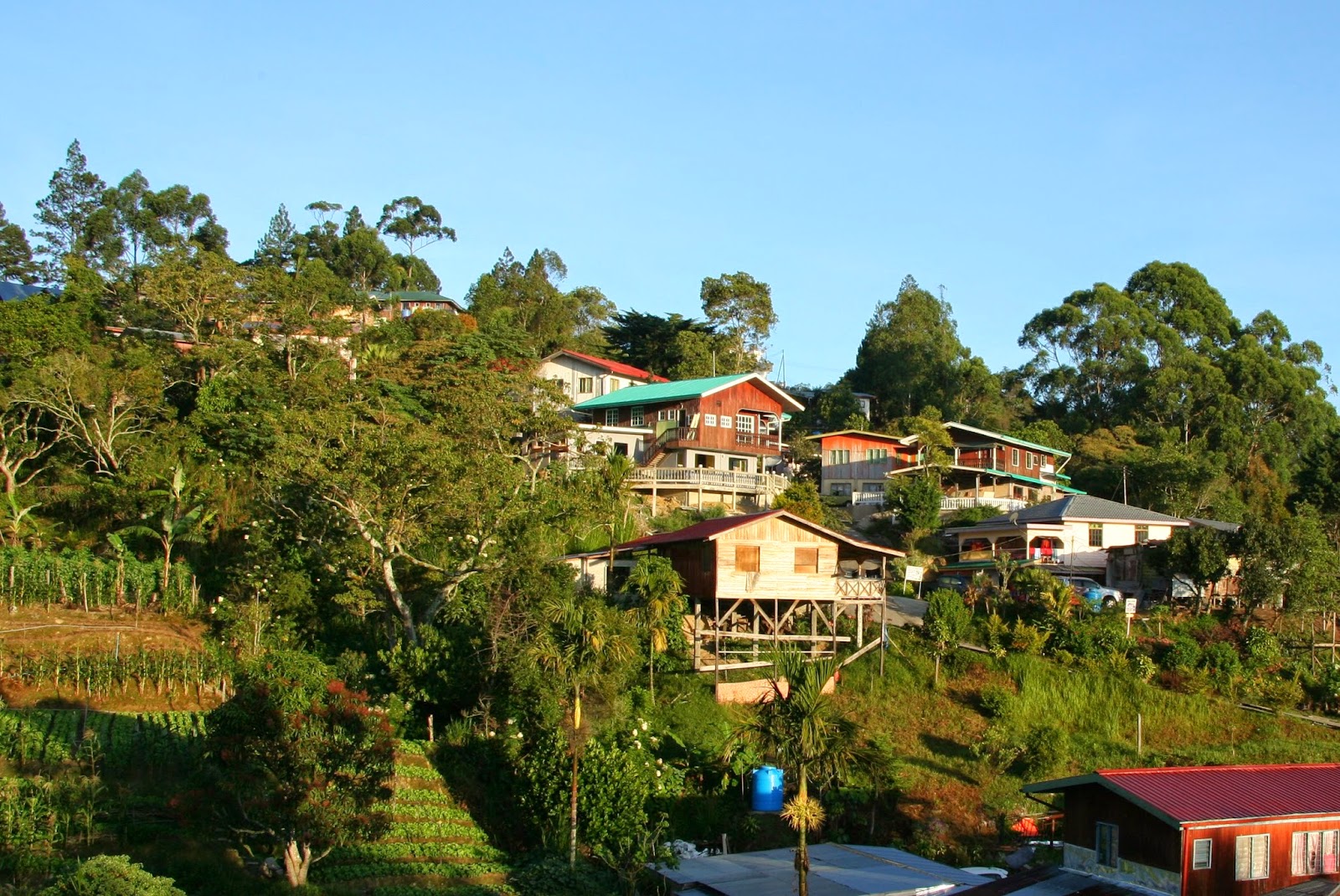 Everything About Wood View of a farming village at Kundasang