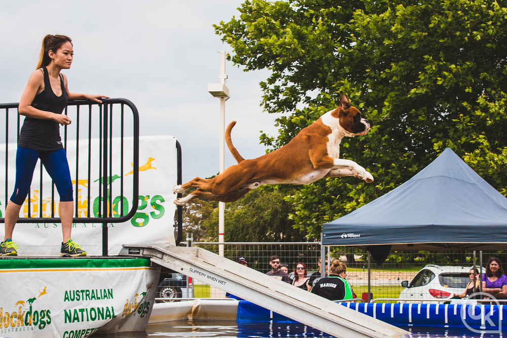 Silver Pet Prints Perth Pet Expo 2016 November 5 & 6 Australian Dog Lover
