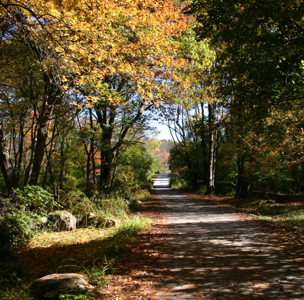 Lincoln Architecture