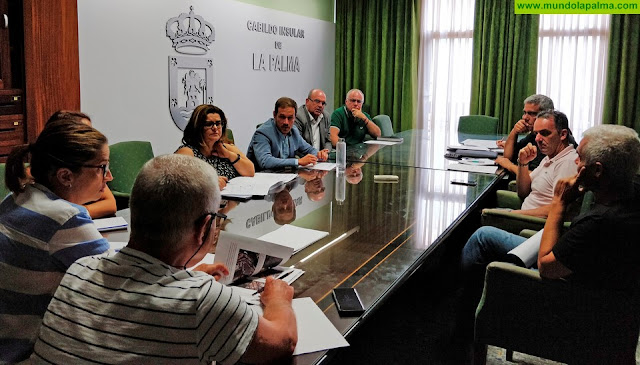 El Cabildo inicia una ronda de contactos con los ayuntamientos para impulsar el Fdcan