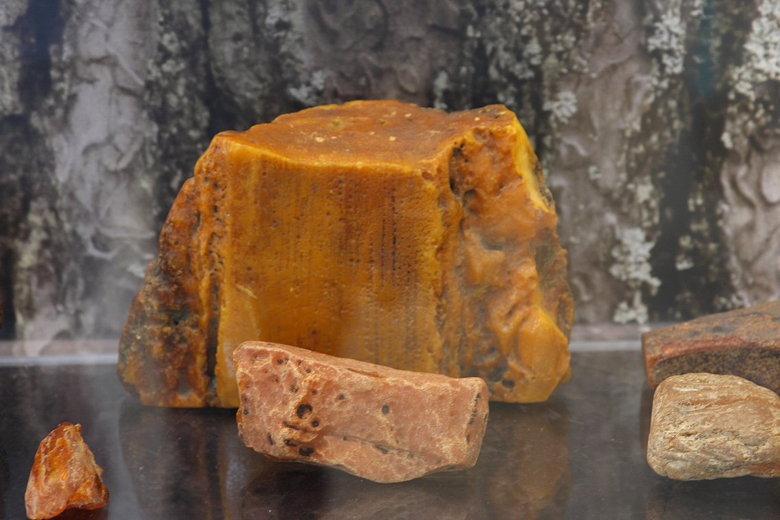 Паланга музей янтаря