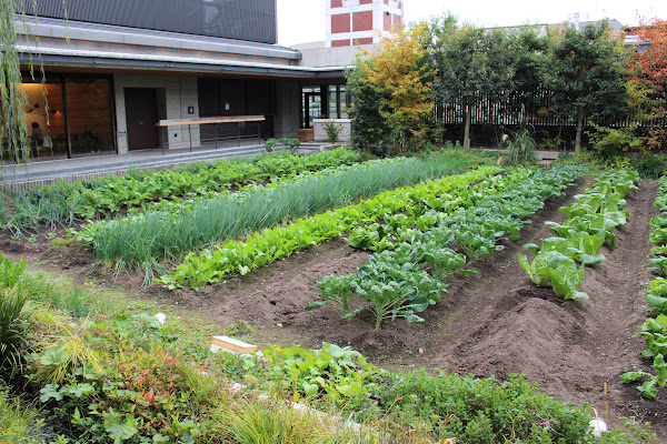 八百一本館 產地 餐桌 選物 一應俱全 Shoppingdesign