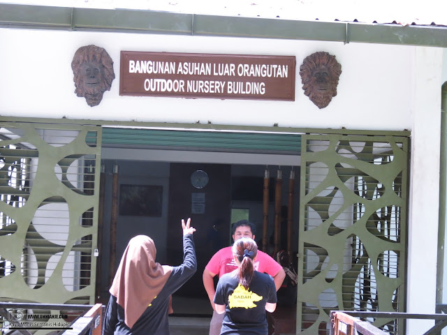 Pusat Pemulihan Orang Utan Sepilok, Sandakan Tempat Menarik Di Sabah