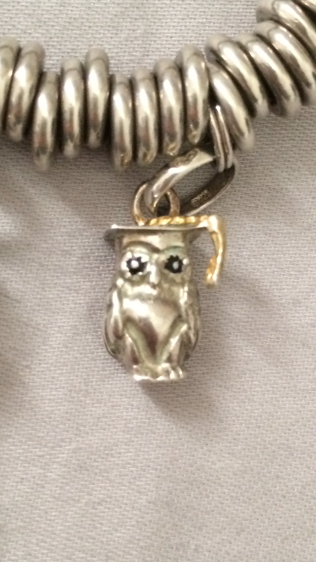 Genuine Links of London Sterling Silver & 18 ct Gold Wise Owl Graduation Charm 