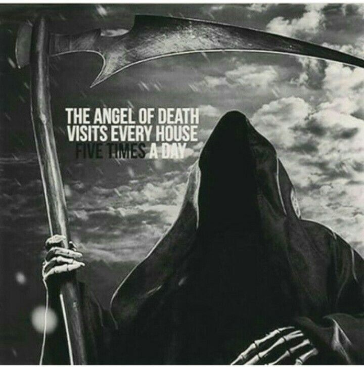The Angel Of Death Visit Every House 40 Times A Day Daily Qoutes Enchanting Daily Death Quotes The Angel Of Death Visit Every House 40 Times A Day Daily Qoutes Enchanting Daily Death Quotes