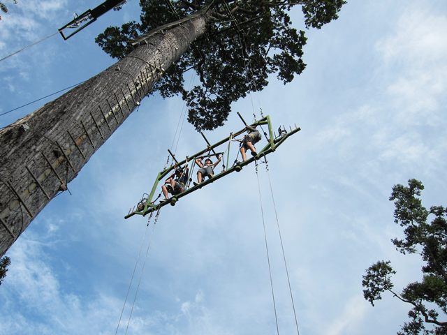 Pause the Moment: Tree Top Adventure, Subic