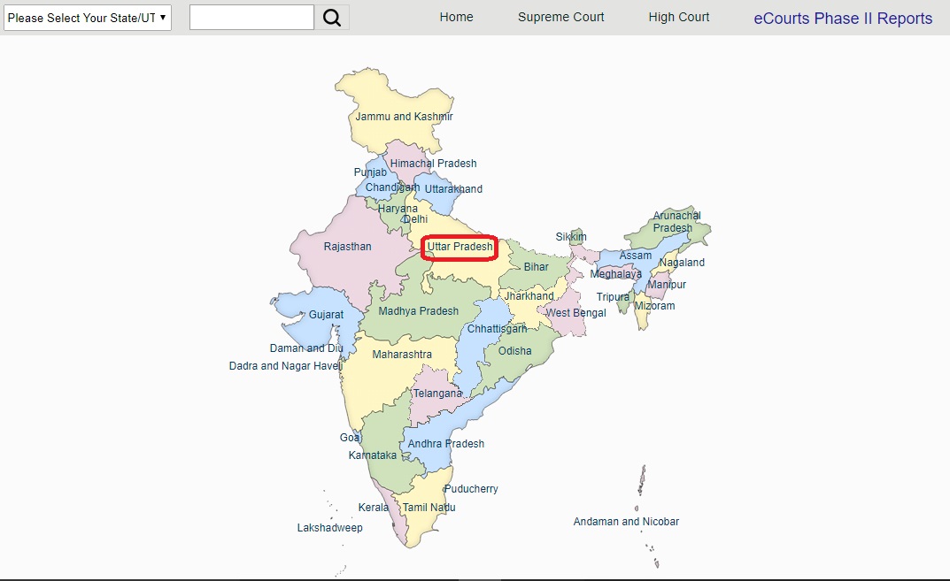how-to-see-case-status-how-can-i-check-my-case-status-ecourt