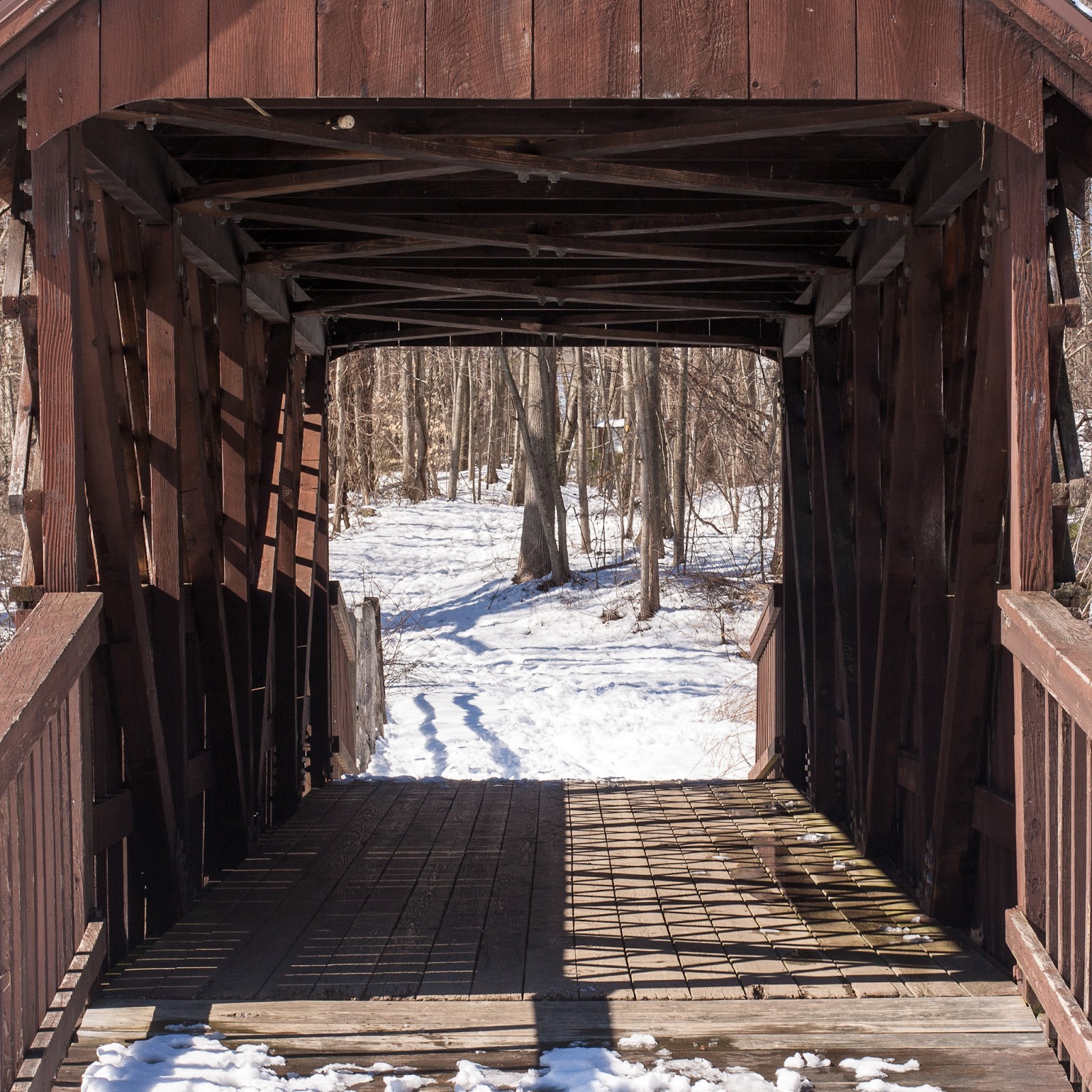 Life, On A Bridged Huckleberry Hill Bridge, Avon, CT