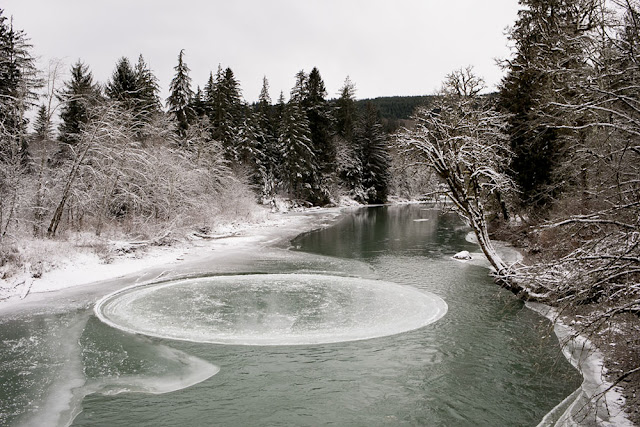 UFOの跡？川の中にできた巨大な氷のサークル【nat】
