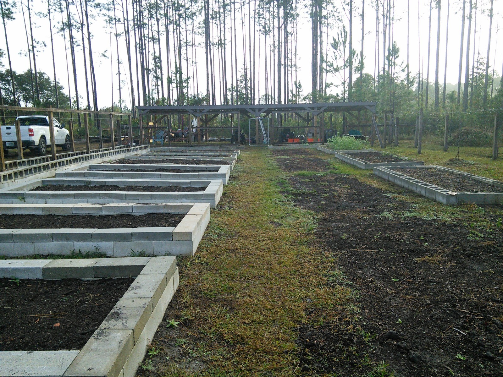 FLORIDA HOBBY FARM Raised beds
