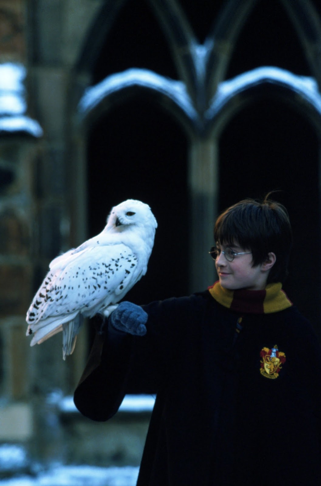 Harry Potter and the Philosopher's Stone In Concert Review