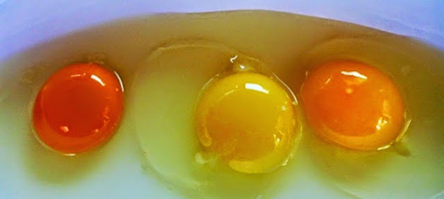 Ternyata Seperti Ini Triknya Cara Membuat, Bagian Kuning Telur Rebus Ini Ada Di Bagian Luar Ternyata Seperti Ini Triknya Cara Membuat, Bagian Kuning Telur Rebus Ini Ada Di Bagian Luar