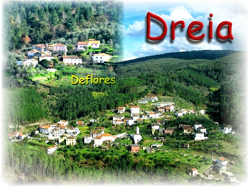 Bem-vindo à Dreia