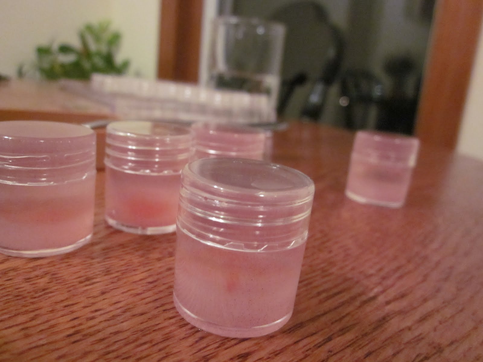 The Crafty Novice Homemade Lip Gloss