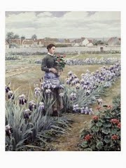 Iris Cut Flowers For Market