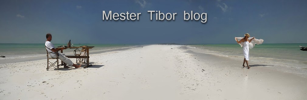 Mester Tibor