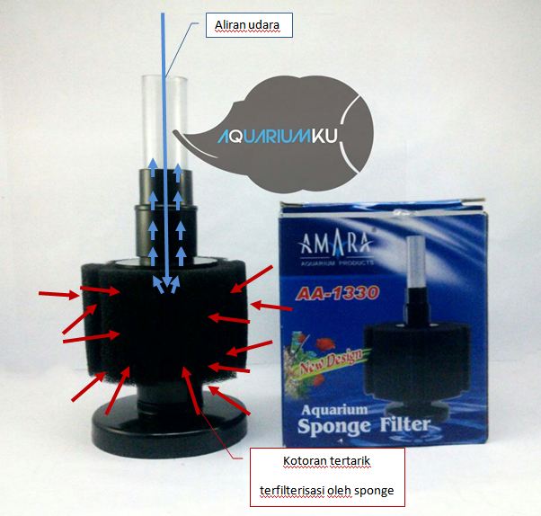 Aquariumku Fungsi Dan Cara Memakai Akuarium Sponge Filter