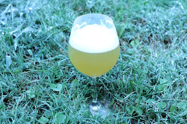 A glass of the finished hoppy/sour/citrus beer!