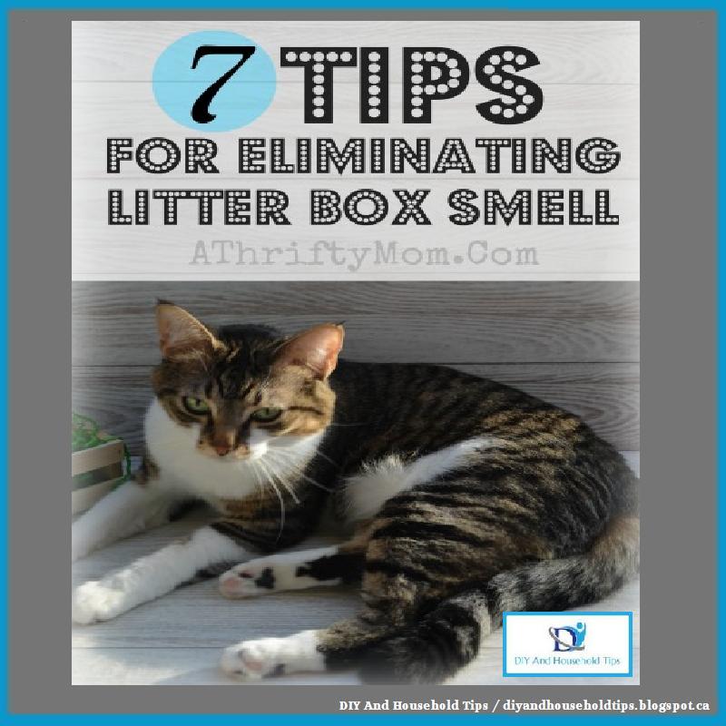 DIY And Household Tips 7 Ways to Eliminating Litter Box Smell