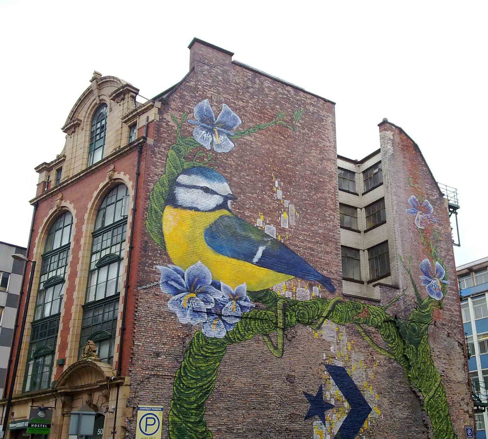 Hippystitch Cool Wall Art in Manchester