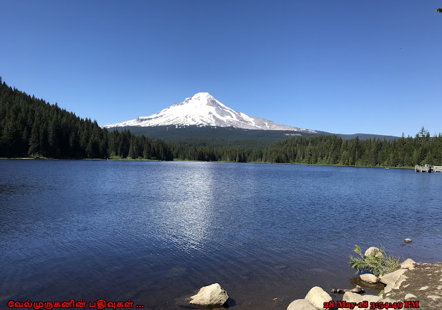 Mount Hood View from Trillium lake