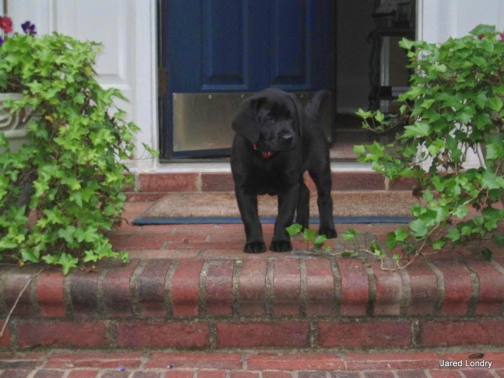 Design Squish Blog - 