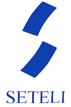 SETELI ryn logo