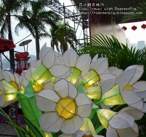 2013年香港市區元宵綵燈會 活動一覽